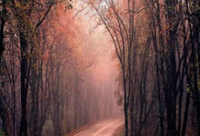 mk体育官网:谷爱凌社媒:第一次伤后跑步,一步一步的恢复中.