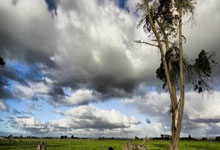 “小孩哥”上雪带来“大流量”2025-02-03.