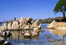 第四届海峡两岸暨港澳地区(重庆)青年羽毛球邀请赛在重庆开赛中国新闻网.